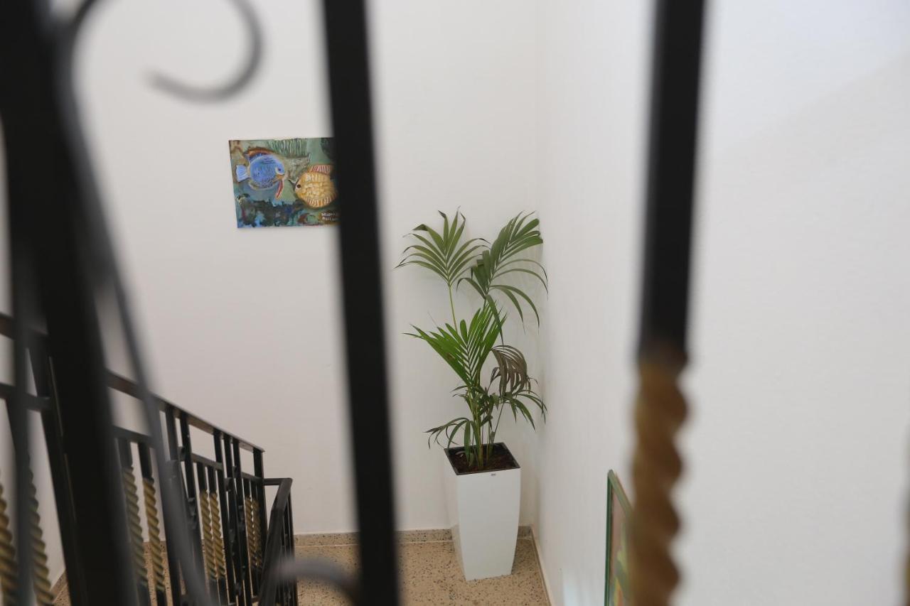 Apartment Celaj Velipojë Εξωτερικό φωτογραφία